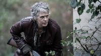 The Walking Dead Daryl Dixon